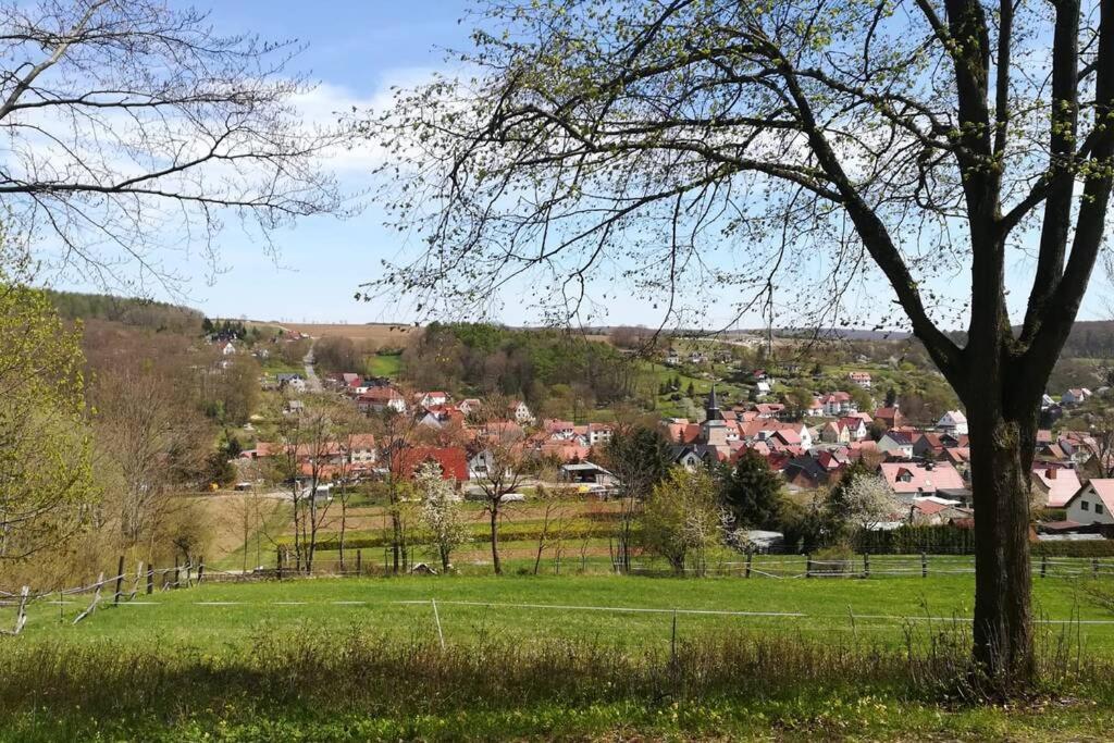 Ferienhaus Zum Kuckuck, Wng 2, Urlaub Im Eichsfeld Kallmerode Екстериор снимка