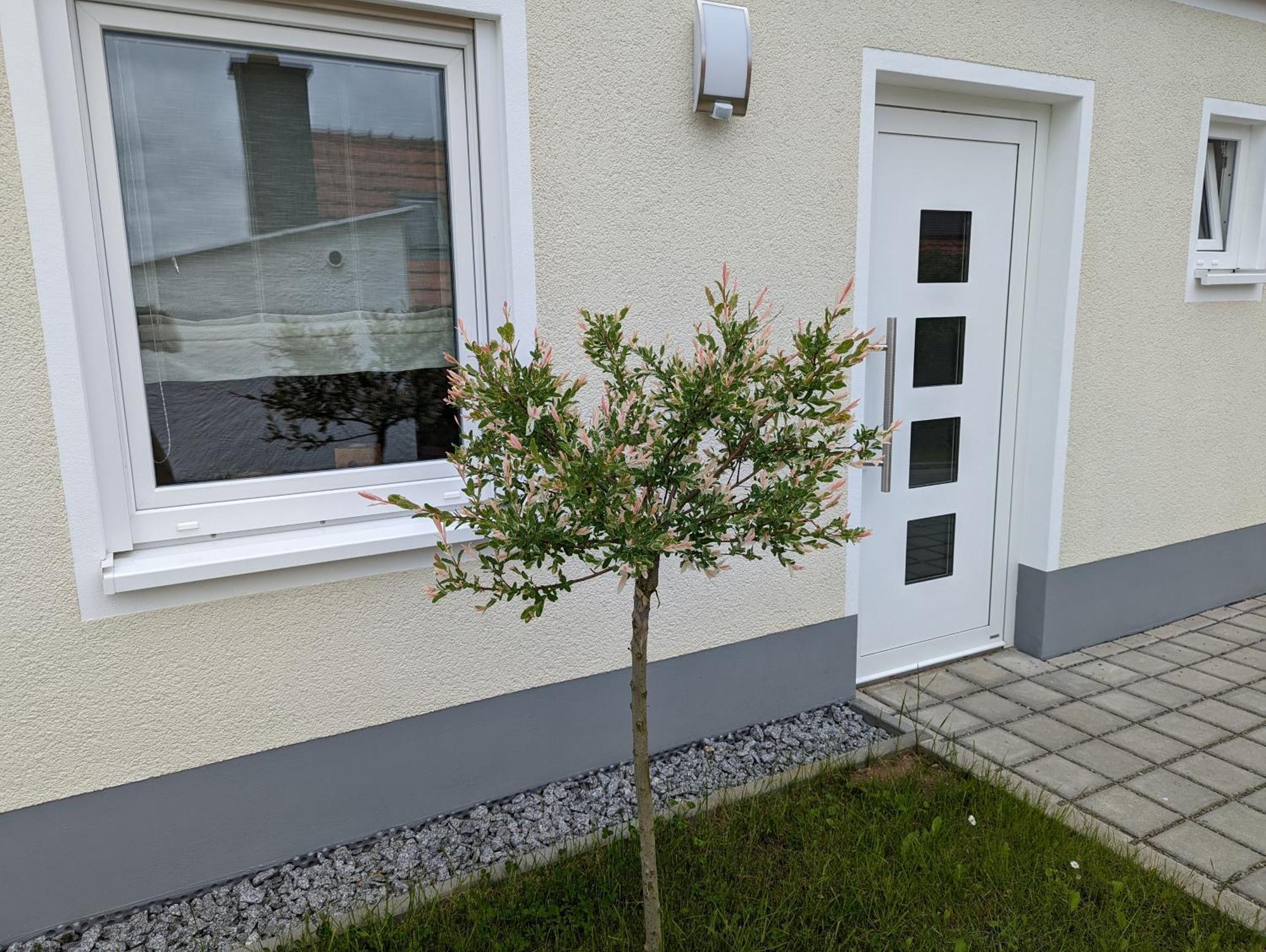 Ferienhaus Zum Kuckuck, Wng 2, Urlaub Im Eichsfeld Kallmerode Екстериор снимка