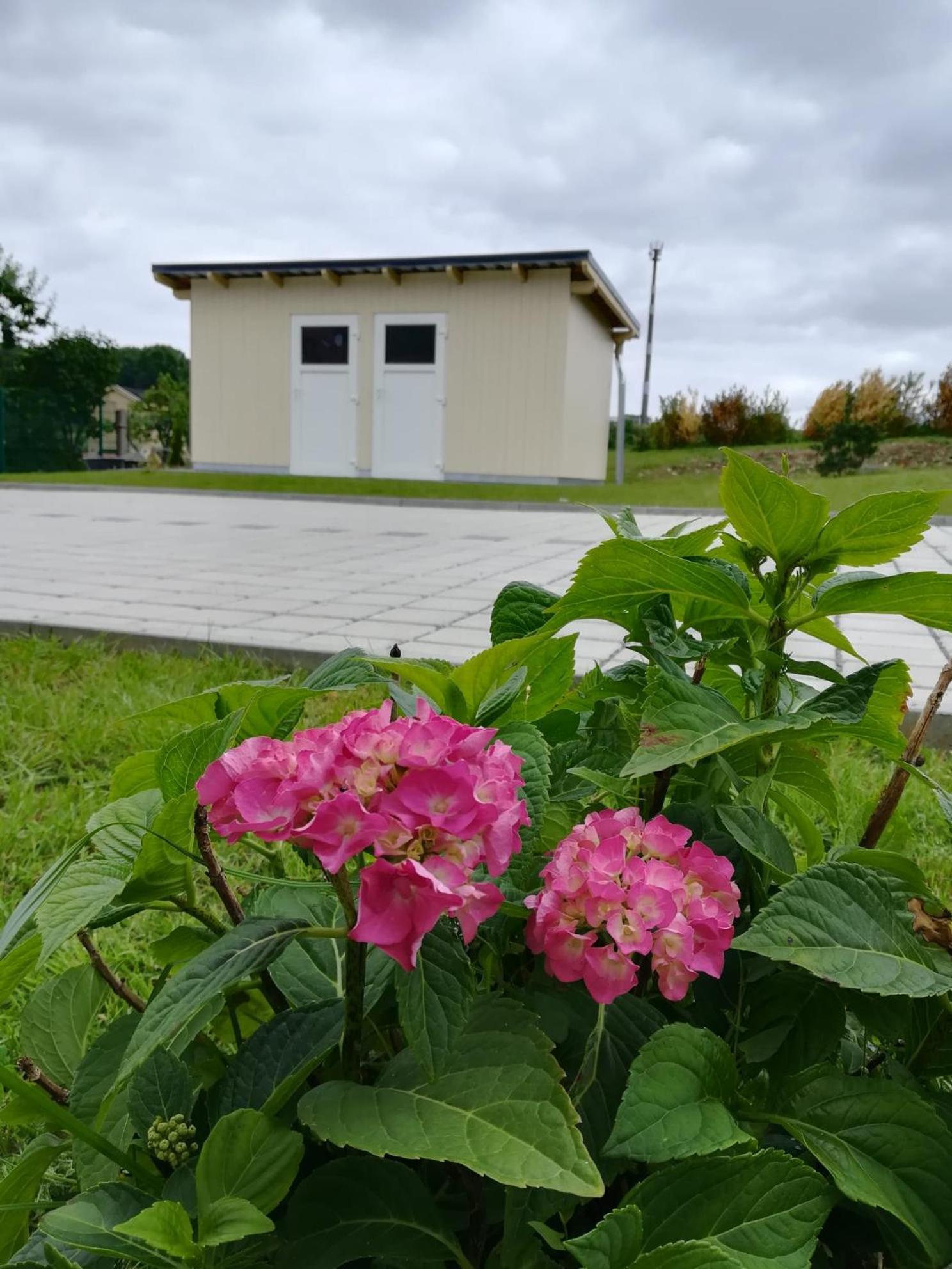 Ferienhaus Zum Kuckuck, Wng 2, Urlaub Im Eichsfeld Kallmerode Екстериор снимка